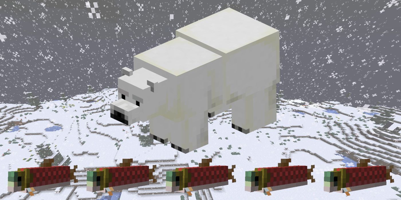 Minecraft: كيفية ترويض الدببة القطبية