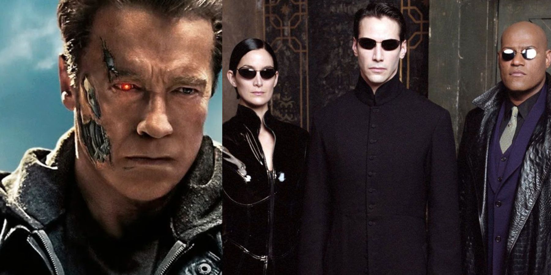 Die Fanentheorie schlägt die Verbindung zwischen der Matrix und dem Terminator vor