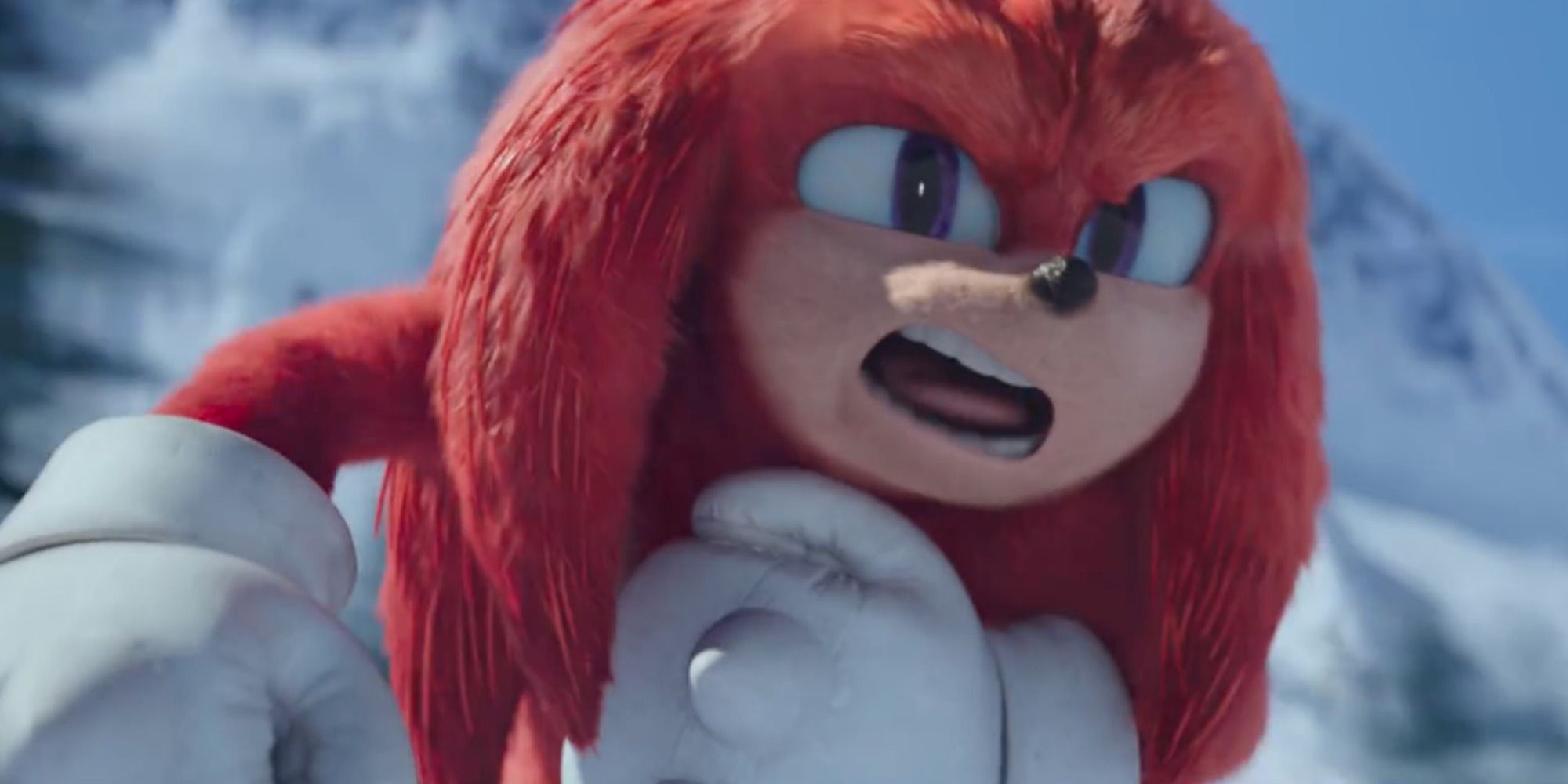 Sonic 2 : New Knuckles가 팬베이스에 대해 말하는 것